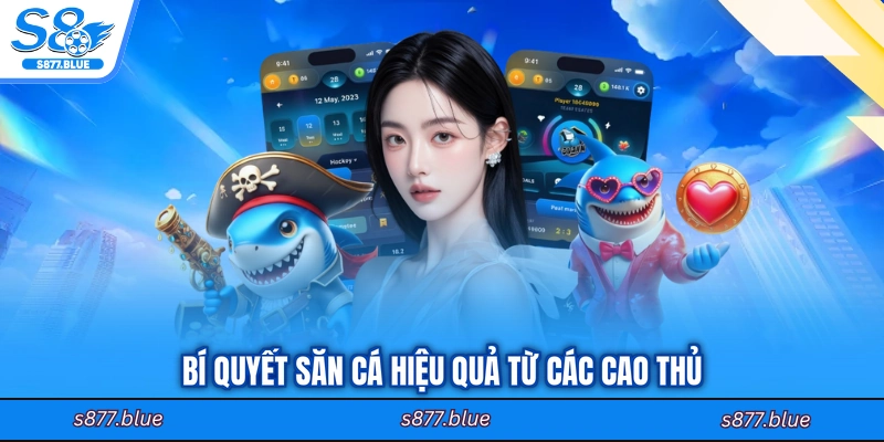 Bí quyết săn cá hiệu quả từ các cao thủ