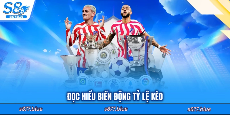 Đọc hiểu biến động tỷ lệ kèo